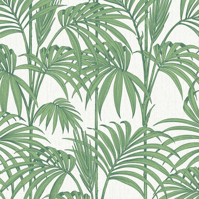 product image of Honolulu Wallpaper in Palm Green by Julien MacDonald for Graham & Brown 596