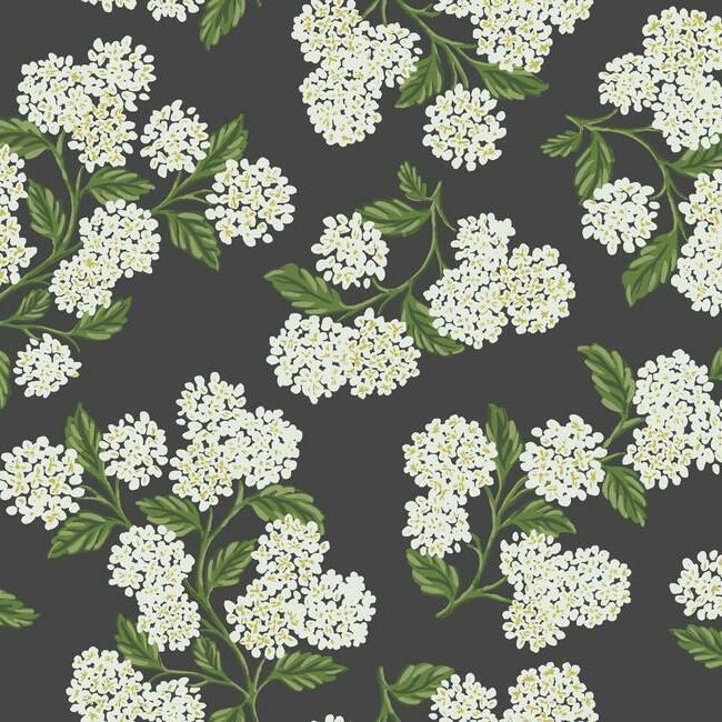 media image for Hydrangea Wallpaper in Black and White from the Rifle Paper Co. Collection by York Wallcoverings 239