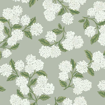 product image of Hydrangea Wallpaper in Grey from the Rifle Paper Co. Collection by York Wallcoverings 510
