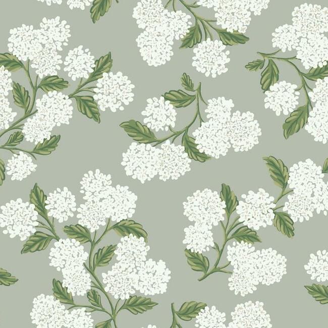 media image for Hydrangea Wallpaper in Grey from the Rifle Paper Co. Collection by York Wallcoverings 222