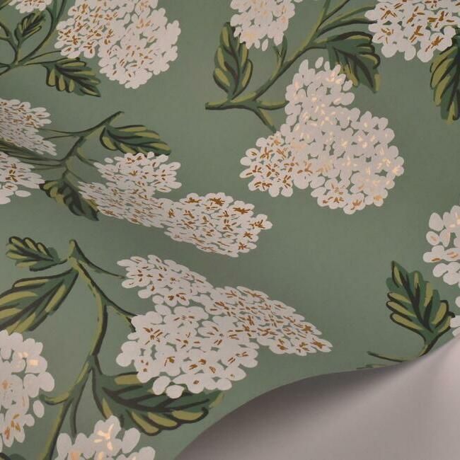 media image for Hydrangea Wallpaper in Jade from the Rifle Paper Co. Collection by York Wallcoverings 219