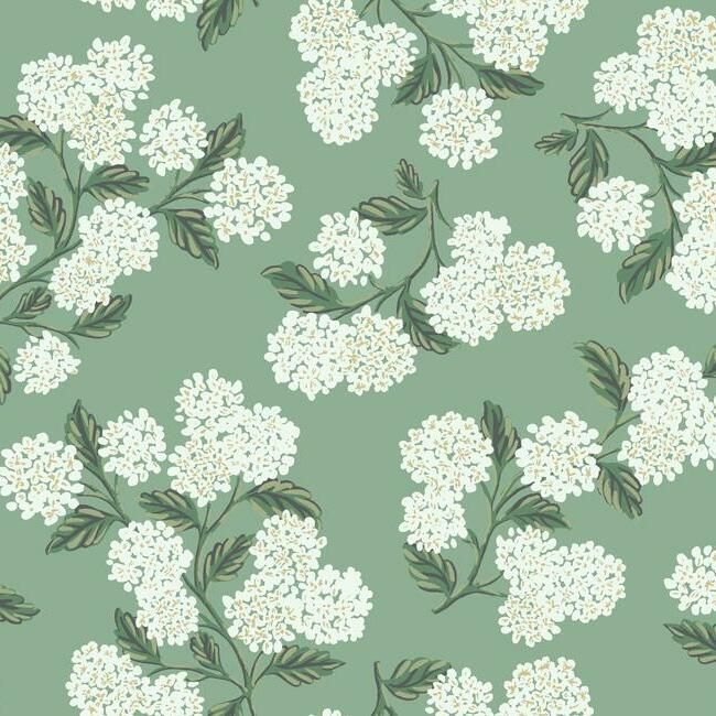 media image for sample hydrangea wallpaper in jade from the rifle paper co collection by york wallcoverings 1 231