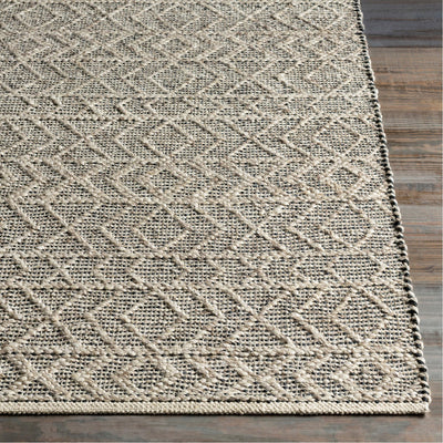 product image for Ingrid ING-2000 Hand Woven Rug in Black & Ivory by Surya 25