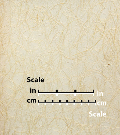 product image of Ivory Vein Natural Wallpaper by Burke Decor 530