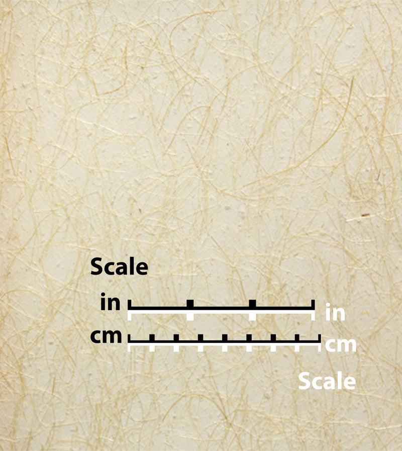 media image for sample ivory vein natural wallpaper by burke decor 1 286