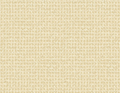product image for Mika Wheat Wallpaper from the Japandi Collection by Seabrook Wallcoverings 53