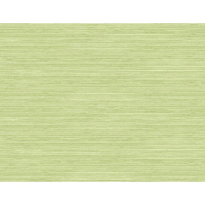 product image of sample jamaica faux grass wallpaper in green from the tortuga collection by seabrook wallcoverings 1 561