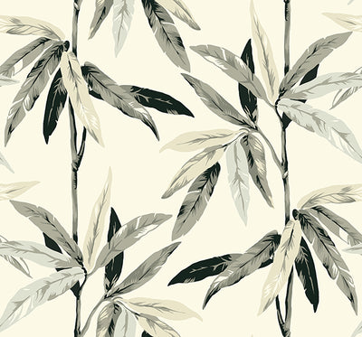 product image of sample janson floral wallpaper in metallic black and ivory by carl robinson for seabrook wallcoverings 1 534