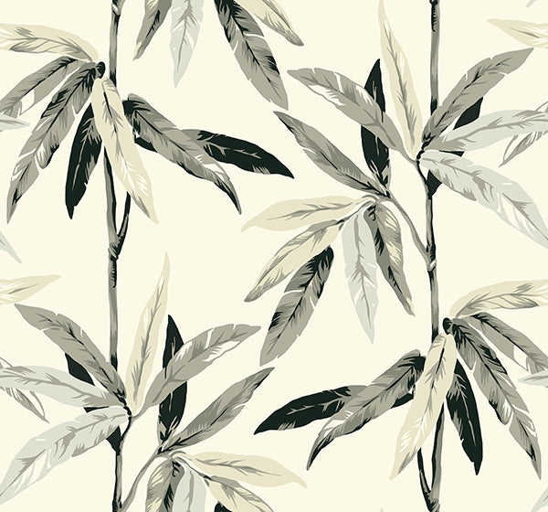 media image for sample janson floral wallpaper in metallic black and ivory by carl robinson for seabrook wallcoverings 1 247