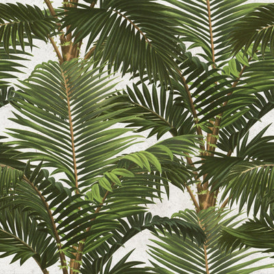 product image for Jardin Tropical Wallpaper in Green and White from the Tropical Vibes Collection by Mind the Gap 85