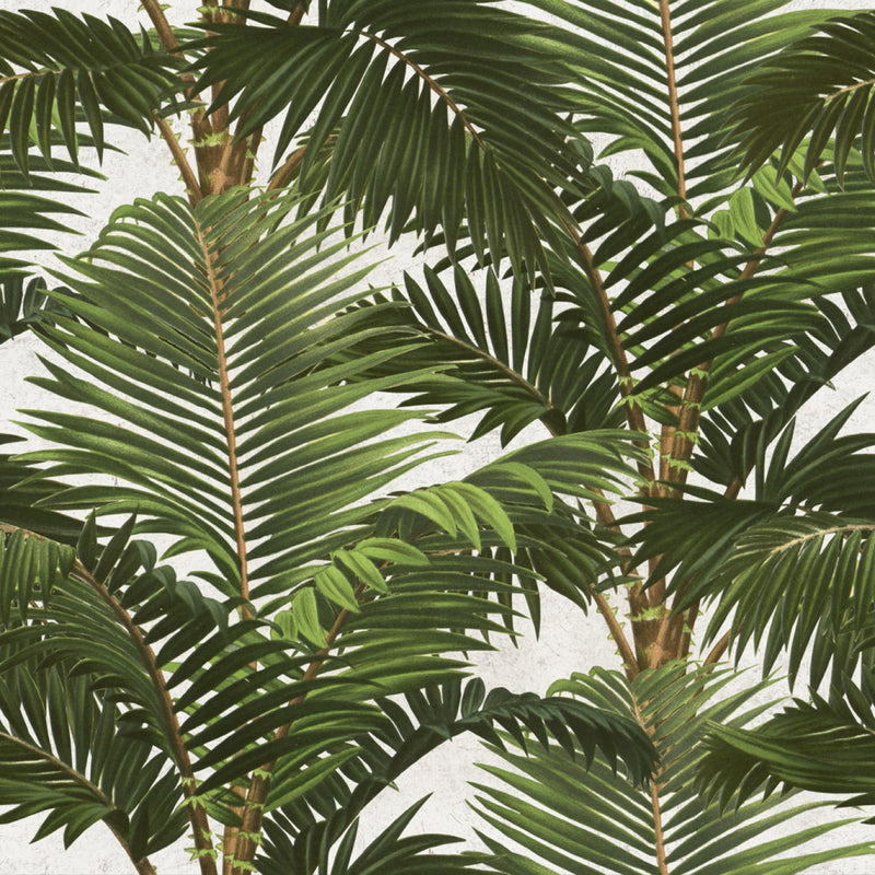 media image for Jardin Tropical Wallpaper in Green and White from the Tropical Vibes Collection by Mind the Gap 273