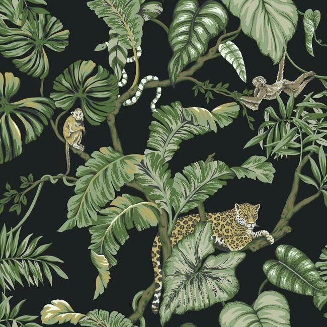 media image for sample jungle cat wallpaper in black from the traveler collection by ronald redding 1 243