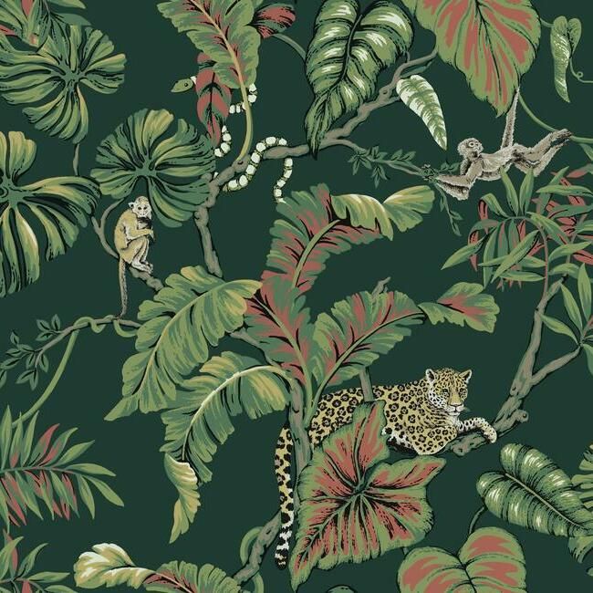 media image for Jungle Cat Wallpaper in Dark Green from the Traveler Collection by Ronald Redding 294