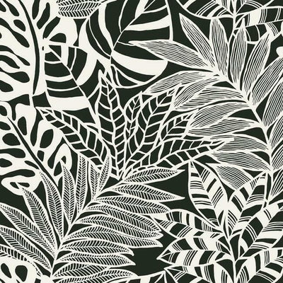 product image of sample jungle leaves wallpaper in black and white from the silhouettes collection by york wallcoverings 1 575