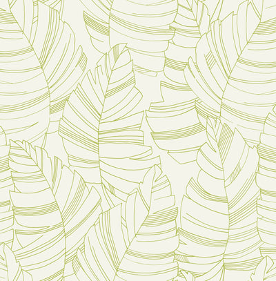 product image of sample jungle leaves wallpaper in green apple from the day dreamers collection by seabrook wallcoverings 1 599