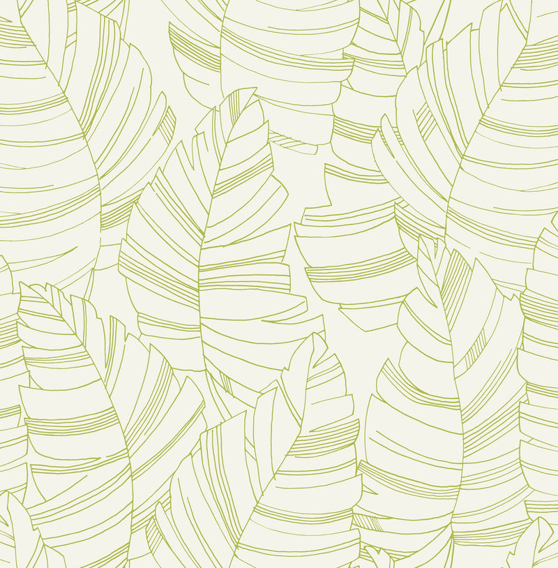 media image for Jungle Leaves Wallpaper in Green Apple from the Day Dreamers Collection by Seabrook Wallcoverings 239