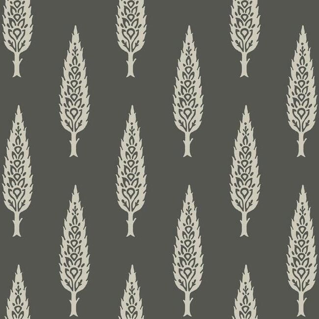 media image for Juniper Tree Wallpaper in Black and Taupe from the Silhouettes Collection by York Wallcoverings 254