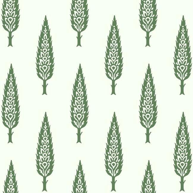 media image for Juniper Tree Wallpaper in Green from the Silhouettes Collection by York Wallcoverings 254