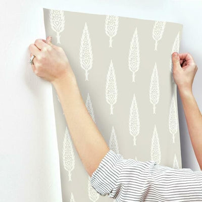 product image for Juniper Tree Wallpaper in Taupe from the Silhouettes Collection by York Wallcoverings 77