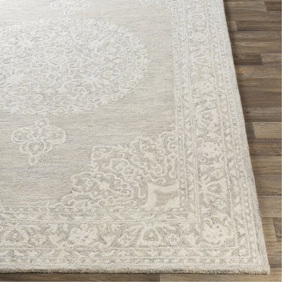 product image for Kayseri KSR-2313 Hand Tufted Rug in Beige & Cream by Surya 77