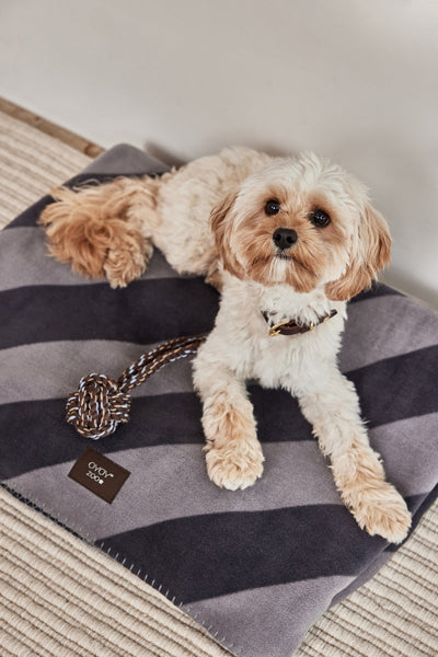 product image for kaya dog blanket small 6 51