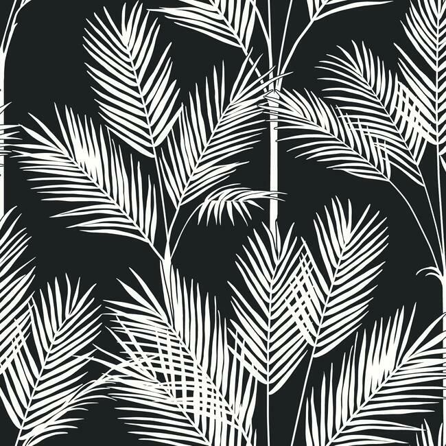 media image for King Palm Silhouette Wallpaper in Black from the Water& 235