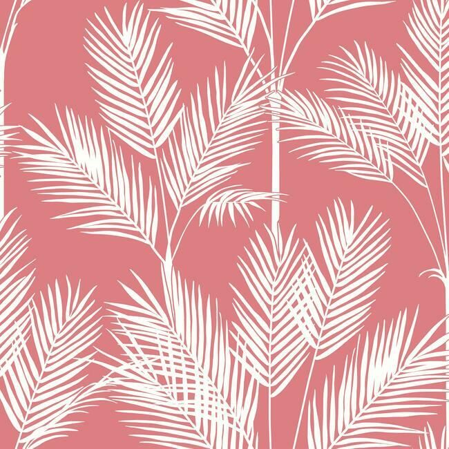 media image for King Palm Silhouette Wallpaper in Coral from the Water& 220