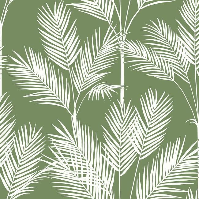 media image for King Palm Silhouette Wallpaper in Fern from the Water& 255