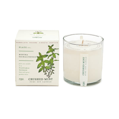 product image of crushed mint candle 1 553