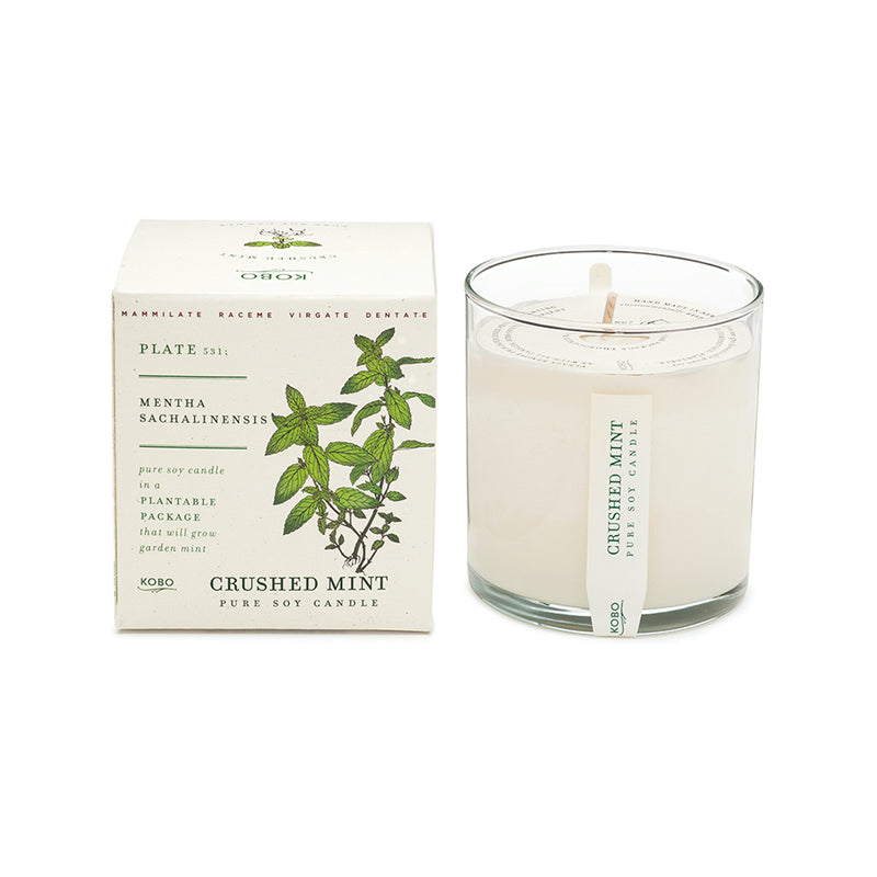 media image for crushed mint candle 1 271