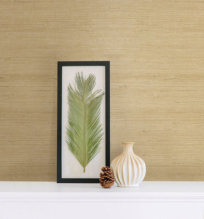 product image for Kostya Cream Grasscloth Wallpaper from the Jade Collection by Brewster Home Fashions 79