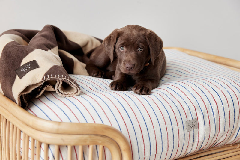 media image for kyoto dog cushion mellow 8 263