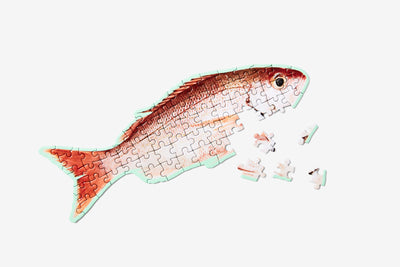 product image for little puzzle thing fish 2 8