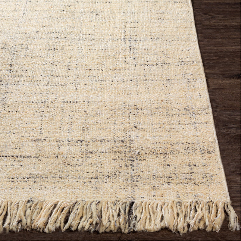 media image for Linden LID-1000 Hand Woven Rug in Beige & Charcoal by Surya 245