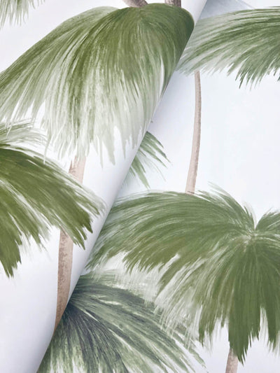 product image for Plein Air Palms Wallpaper in Green 39
