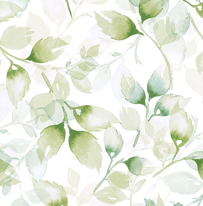product image for Watercolor Tossed Leaves Wallpaper in Green Ivy by Lillian August 5