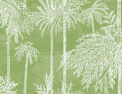 product image for Palm Grove Wallpaper in Summer Fern 19
