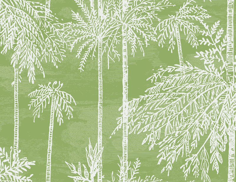 media image for Palm Grove Wallpaper in Summer Fern 274