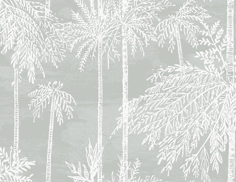 media image for Palm Grove Wallpaper in Misty 278