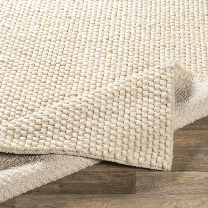 media image for Lucerne LNE-1000 Hand Woven Rug in Cream by Surya 20