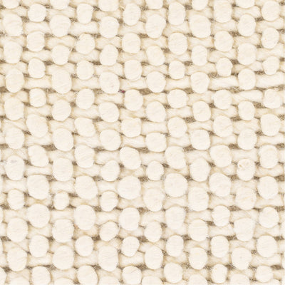 product image for Lucerne LNE-1000 Hand Woven Rug in Cream by Surya 69