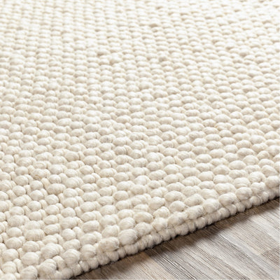 product image for Lucerne LNE-1000 Hand Woven Rug in Cream by Surya 5