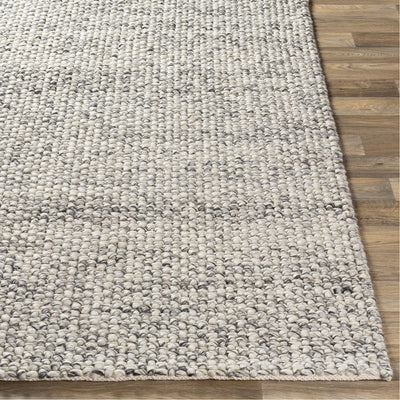 product image for Lucerne LNE-1001 Hand Woven Rug in Charcoal & Ivory by Surya 55
