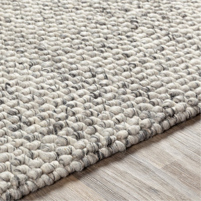 product image for Lucerne LNE-1001 Hand Woven Rug in Charcoal & Ivory by Surya 69