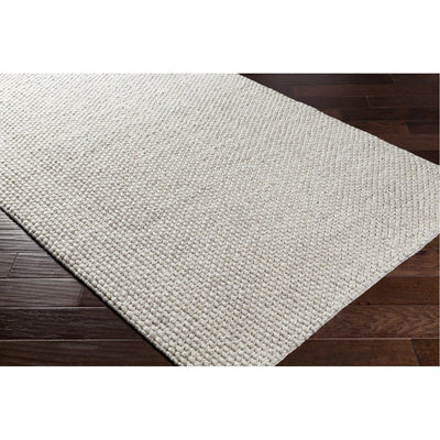 product image for Lucerne LNE-1002 Hand Woven Rug in Ivory by Surya 9