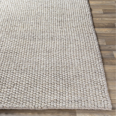 product image for Lucerne LNE-1002 Hand Woven Rug in Ivory by Surya 99