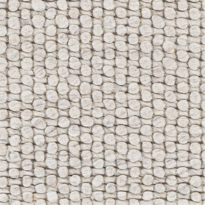 product image for Lucerne LNE-1002 Hand Woven Rug in Ivory by Surya 13
