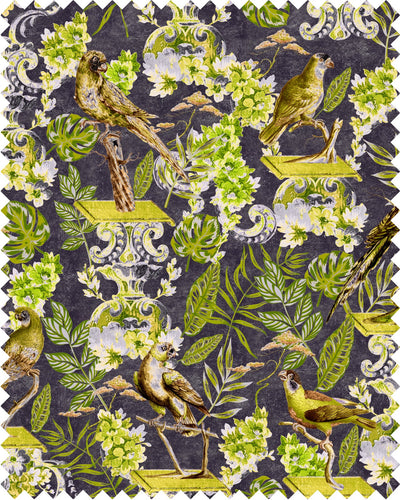 product image of La Voliere Velvet Fabric in Multi by Mind the Gap 56