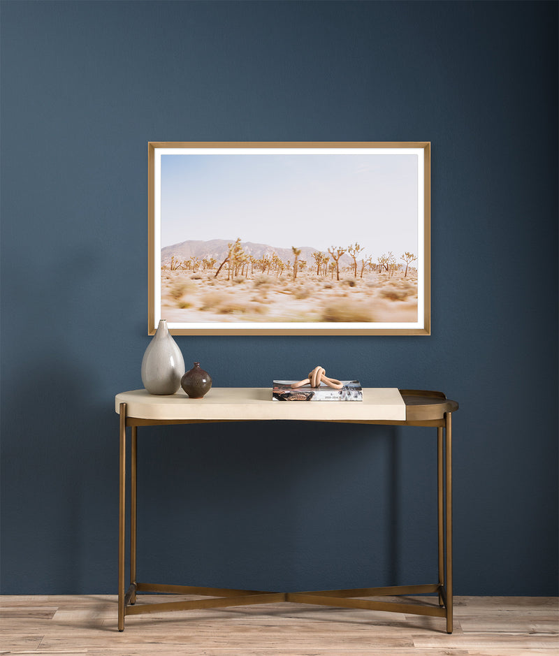 media image for joshua tree framed photo by leftbank art 2 265