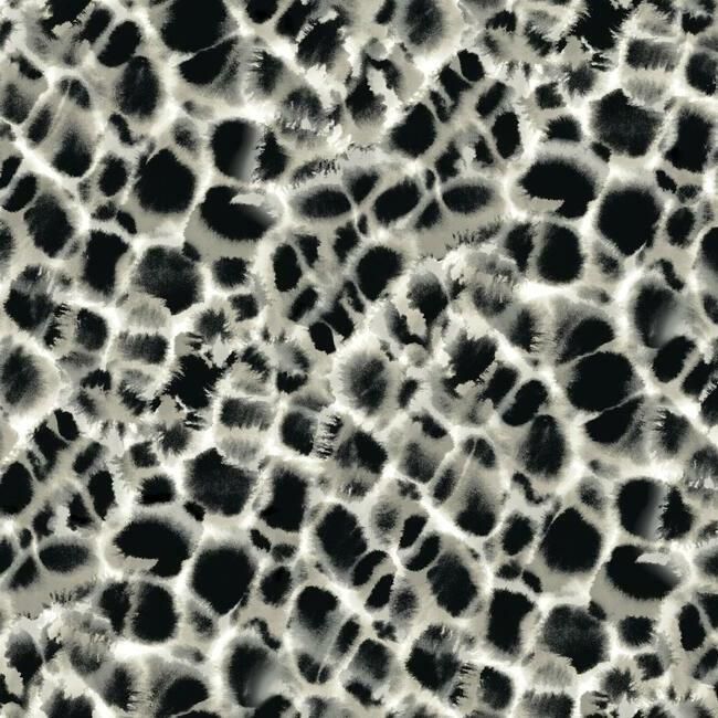 media image for sample leopard rosettes wallpaper in black and off white from the traveler collection by ronald redding 1 220